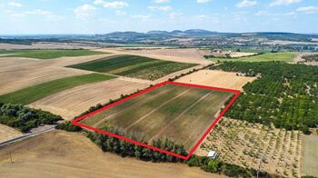 Prodej pozemku, 39611 m2, Valtice