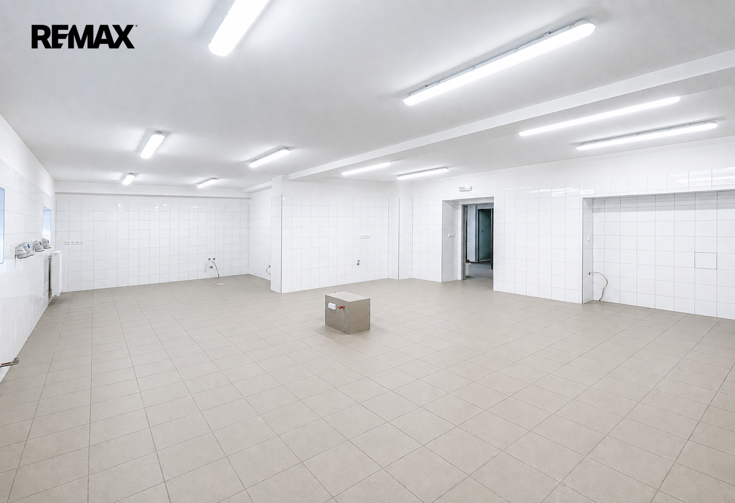Pronájem komerčního objektu, 197 m2, Sudoměřice u Tábora