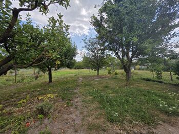 Pronájem domu, 94 m2, Drnholec