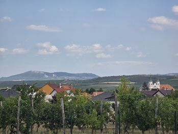 Pronájem domu, 94 m2, Drnholec