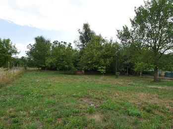 Pronájem domu, 94 m2, Drnholec