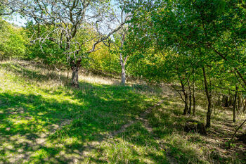 Prodej pozemku, 1765 m2, Dolní Zálezly
