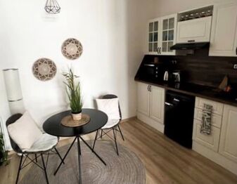 Pronájem bytu 1+kk v osobním vlastnictví, 23 m2, Brno