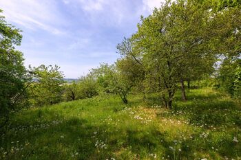 Prodej pozemku, 953 m2, null